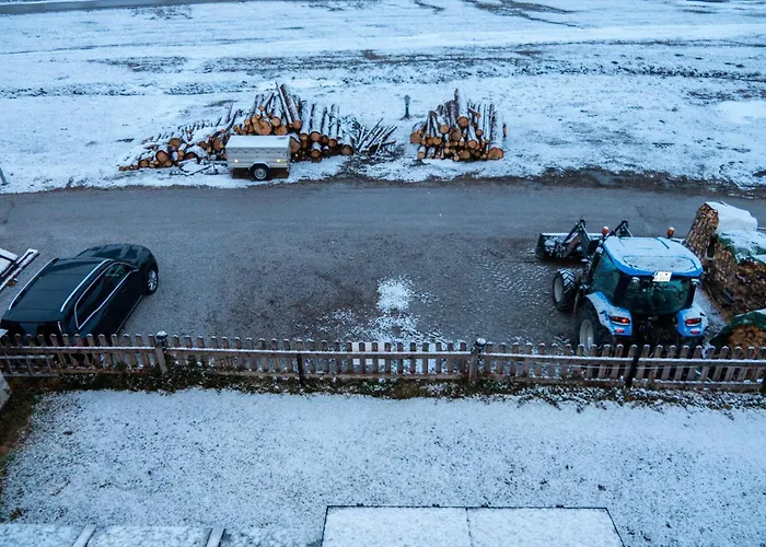 Haus Alpenfrieden 住宿加早餐酒店 3*